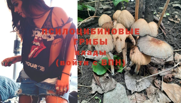 прущая мука Алзамай