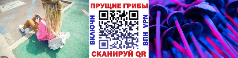 Галлюциногенные грибы GOLDEN TEACHER Кулебаки