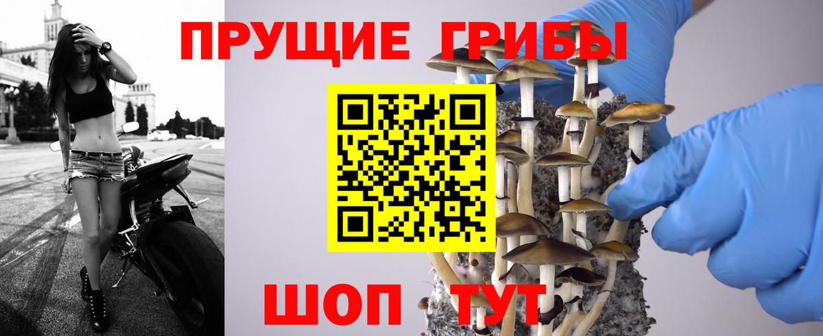 Галлюциногенные грибы GOLDEN TEACHER Кулебаки