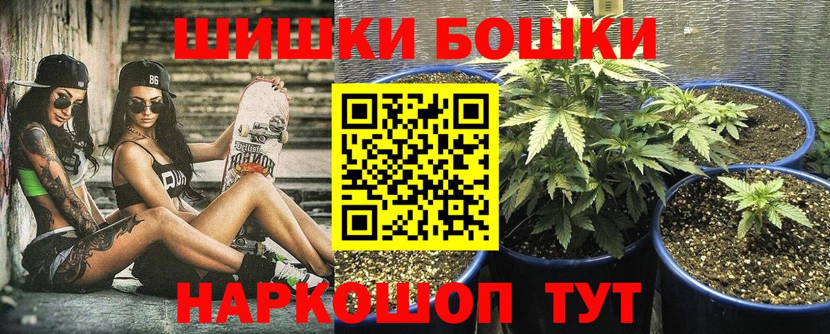 Каннабис семена  Марихуана план  Кулебаки  Вход с VPN  Каннабис планчик  Бошки Шишки семена 